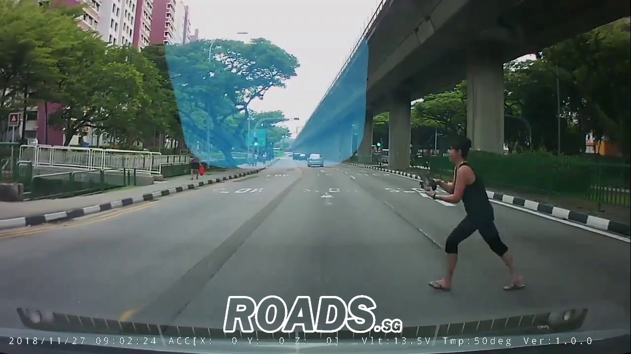 Saving an injured bird