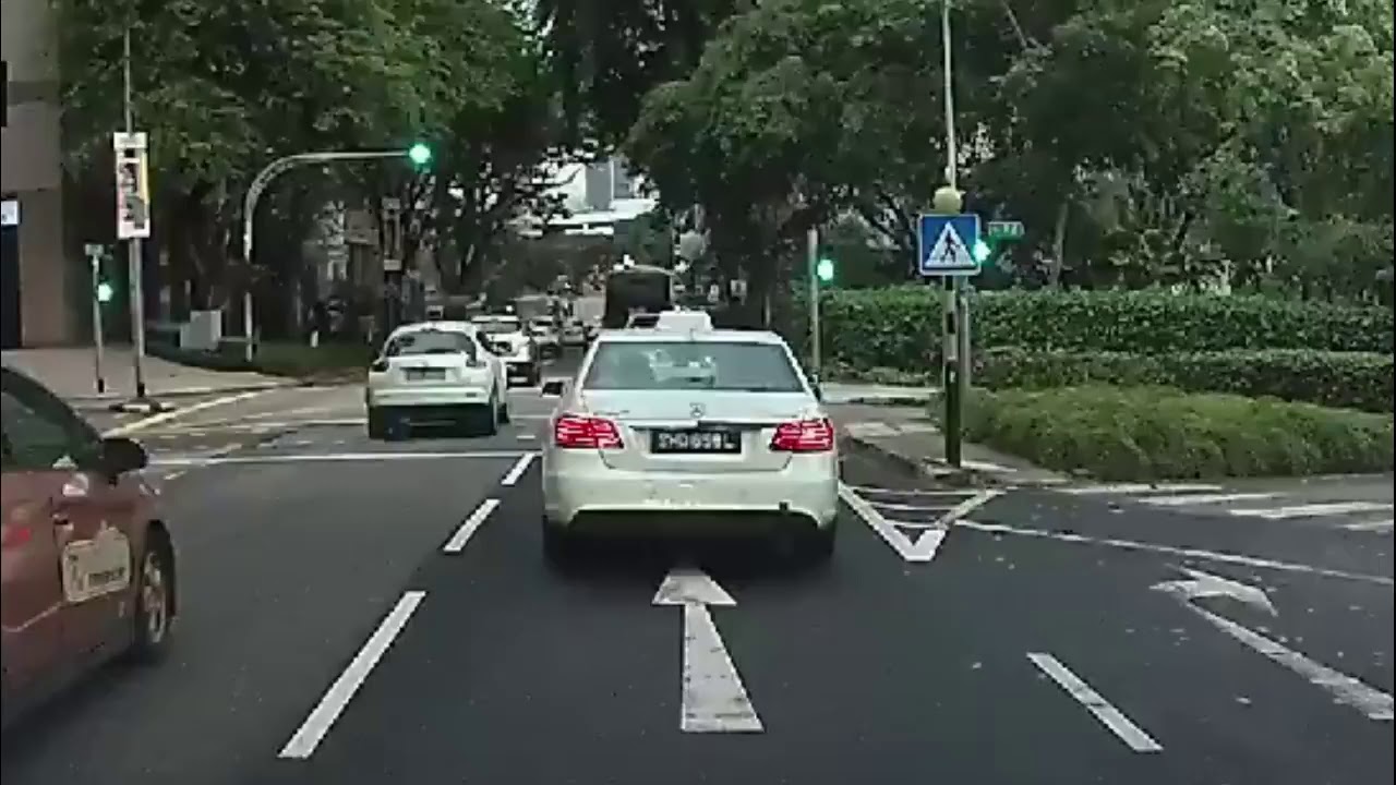 SHD658L driver caught littering