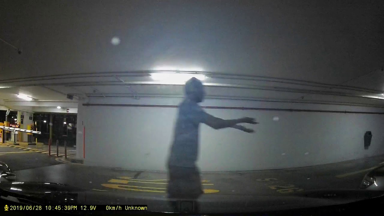 SML8429C Cowardly Irresponsible Motorist