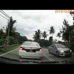 Hitting a large animal is dangerous for occupants of car