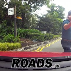 Road rage driver SLF9038J punching my windows