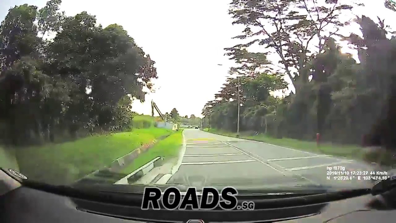 Toyota Wish driver of SJG2993R hit and run