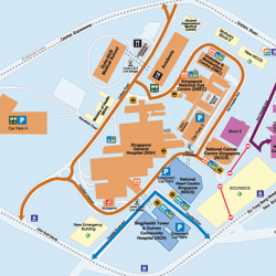3routeWebsite-TN