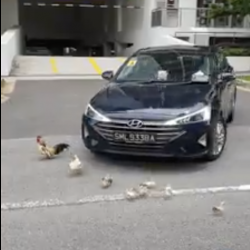 Screenshot 2020-03-15 at 12.34.35 AM