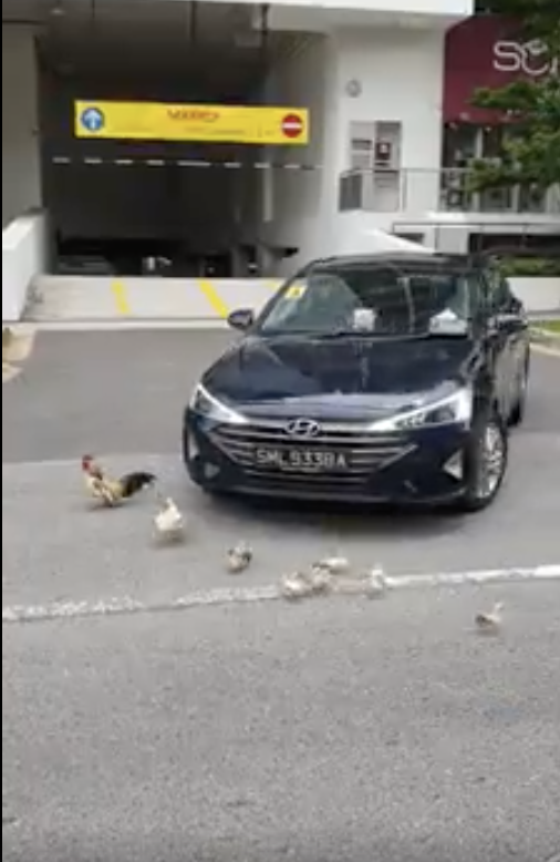 Screenshot 2020-03-15 at 12.34.35 AM