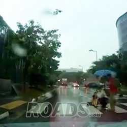Hit and run at a pedestrian crossing