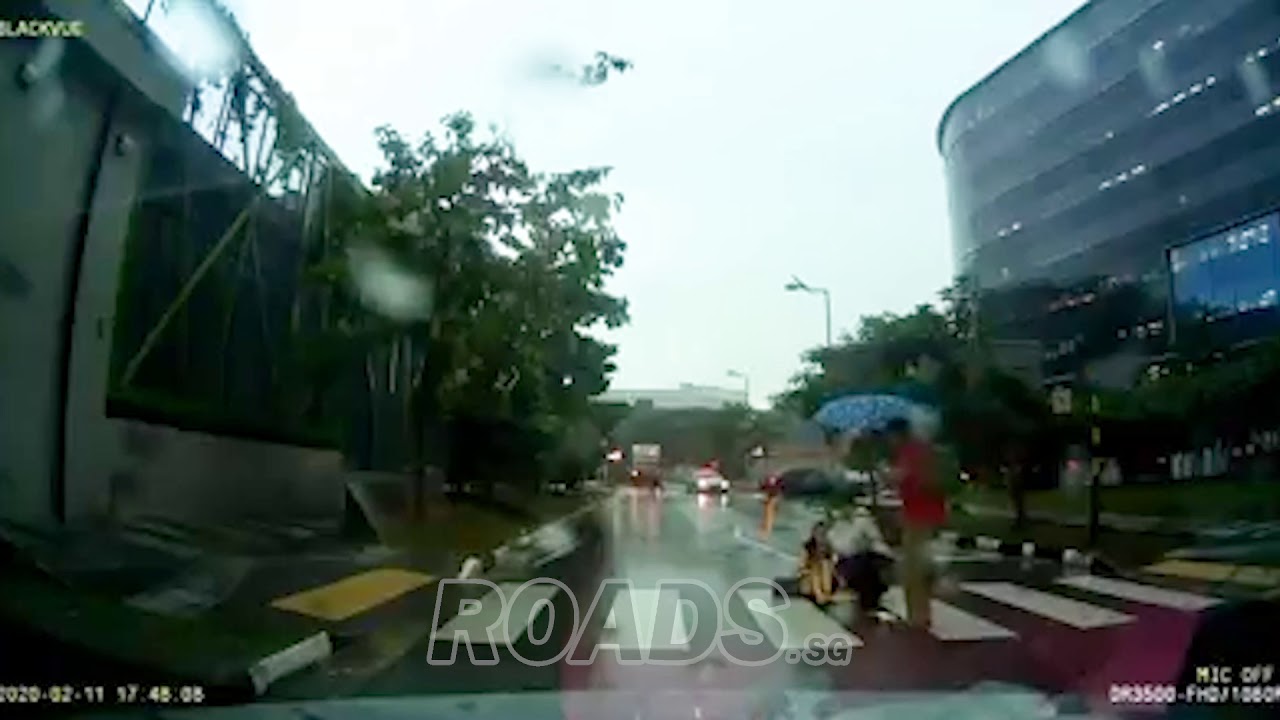 Hit and run at a pedestrian crossing