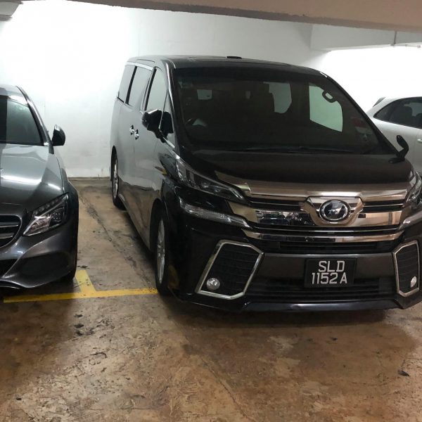 121192340_386993519165264_8462437516625031030_n-Copy