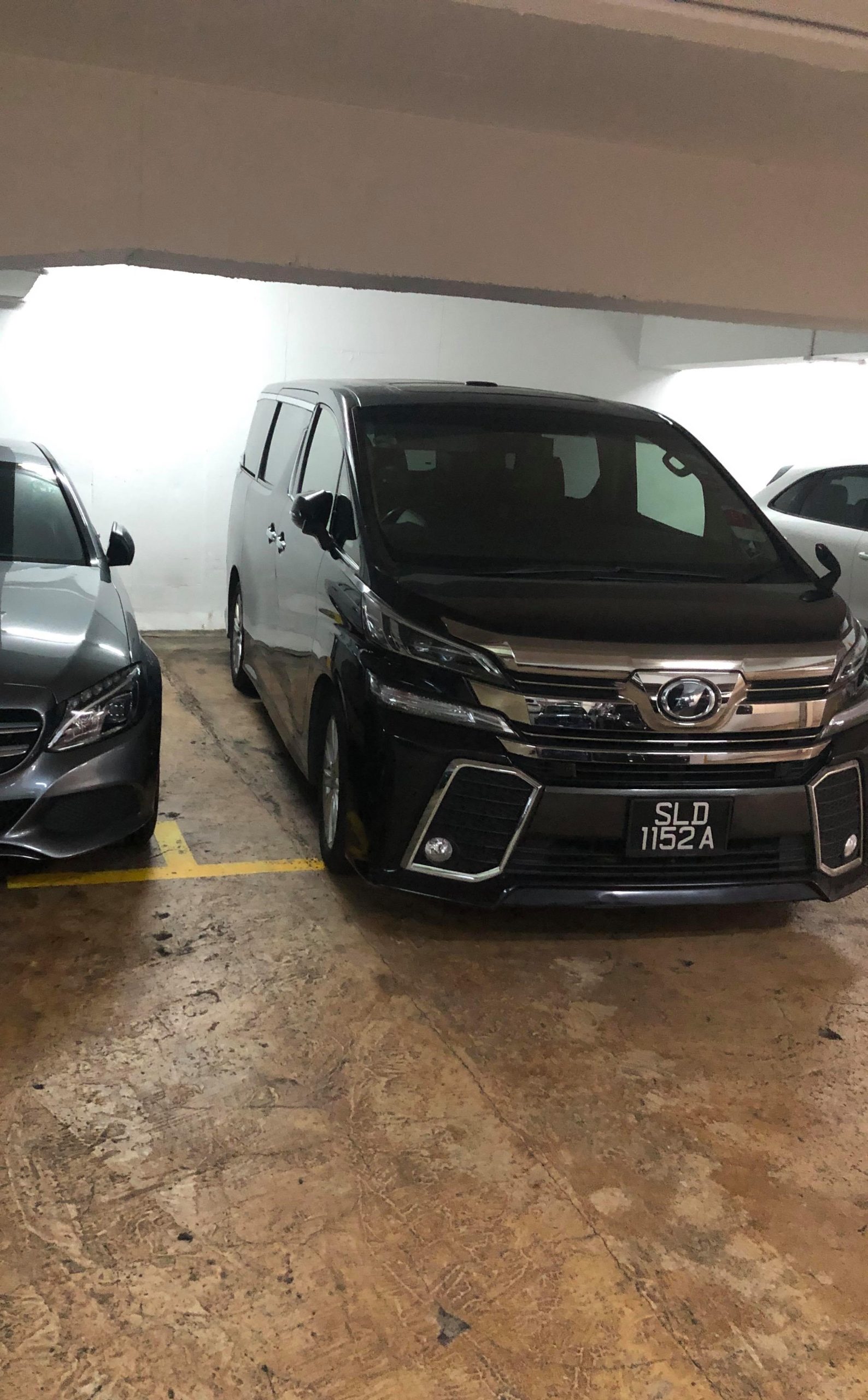 121192340_386993519165264_8462437516625031030_n-Copy