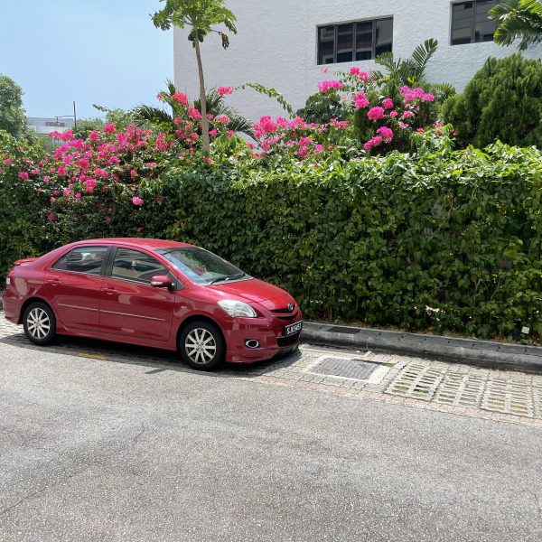 3CB5B145-C4EF-4FBD-9698-BF4D14E44581