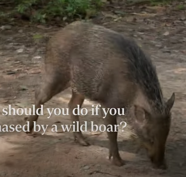 Screenshot 2021-03-01 at 11.38.56 PM