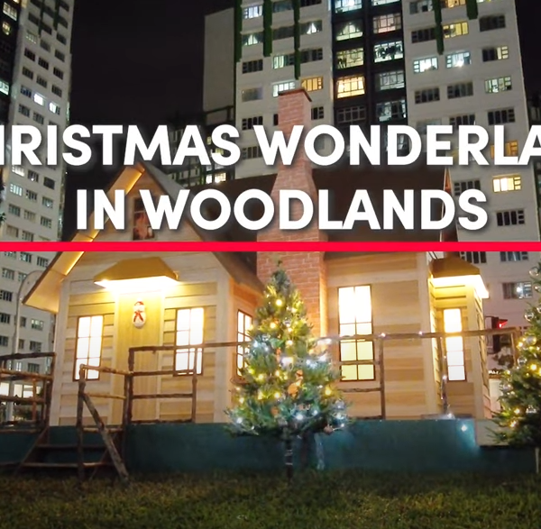 image_2022-12-24_120427229